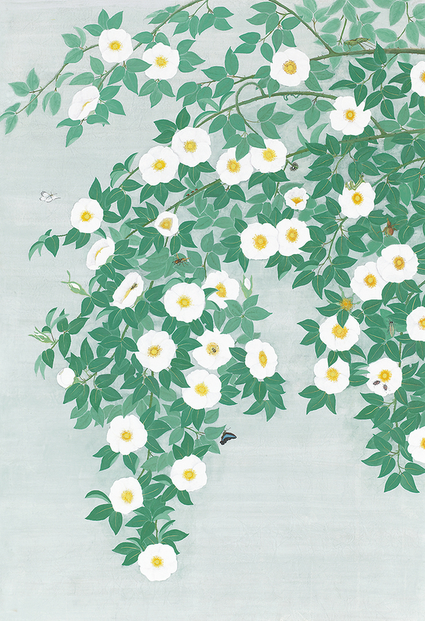 皋 白い花 蟲 ナニワイバラ 13年度 日本画コース 卒業制作 卒業研究 作品 論文集 13年度 Airuキャンパス