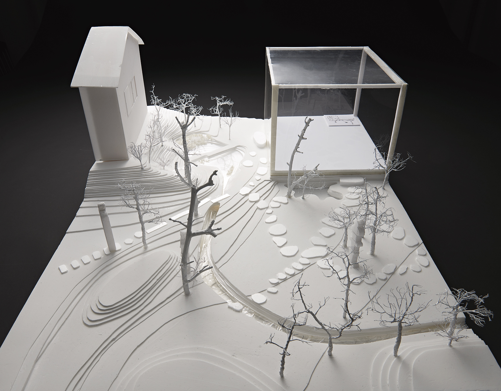 ヤンマが飛来するビオトープガーデン 17年度 ランドスケープデザインコース 卒業制作 卒業研究 作品 論文集 17年度 Airuキャンパス